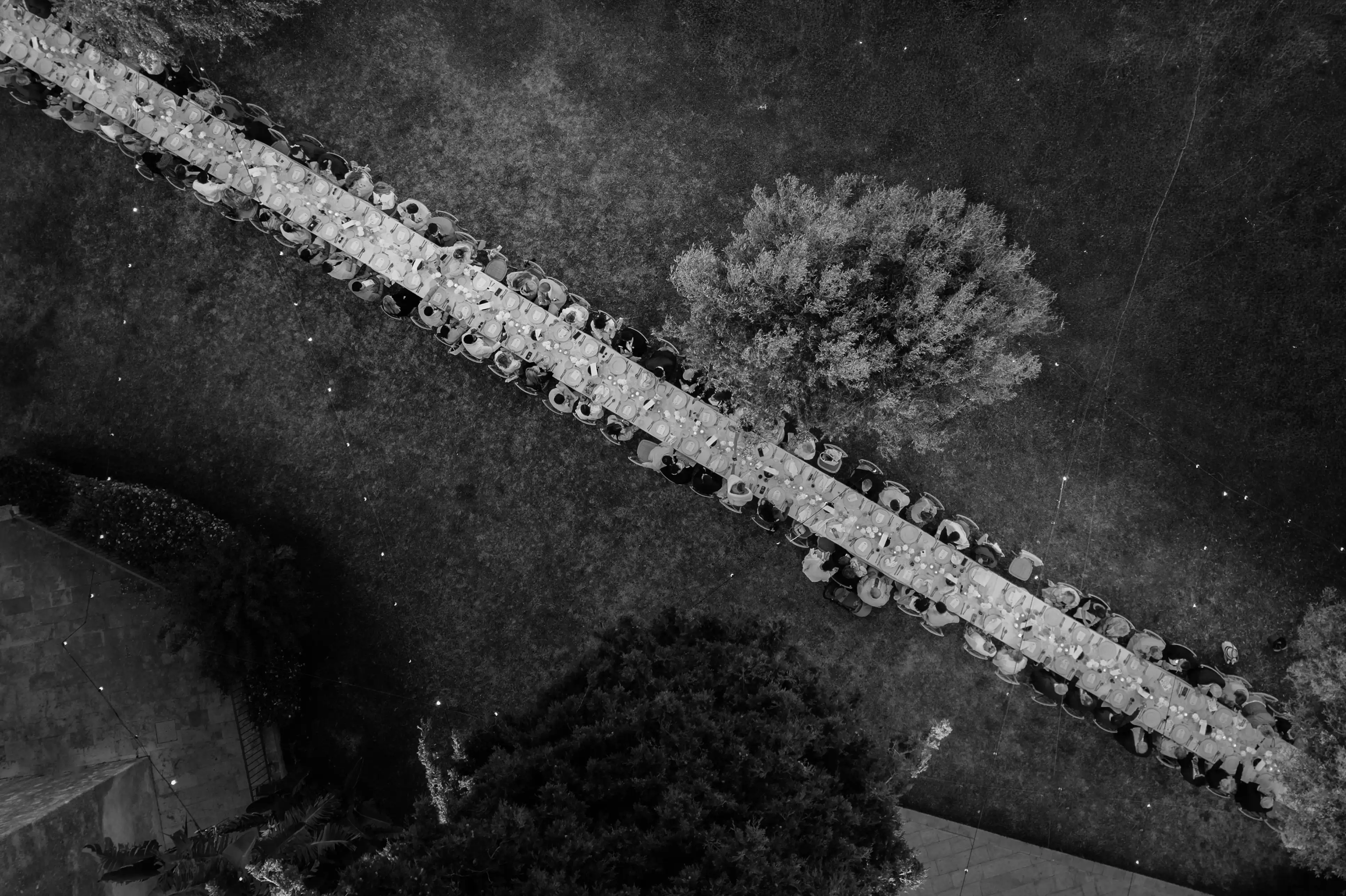 Black and white aerial view of a long outdoor wedding reception table surrounded by guests and olive trees.